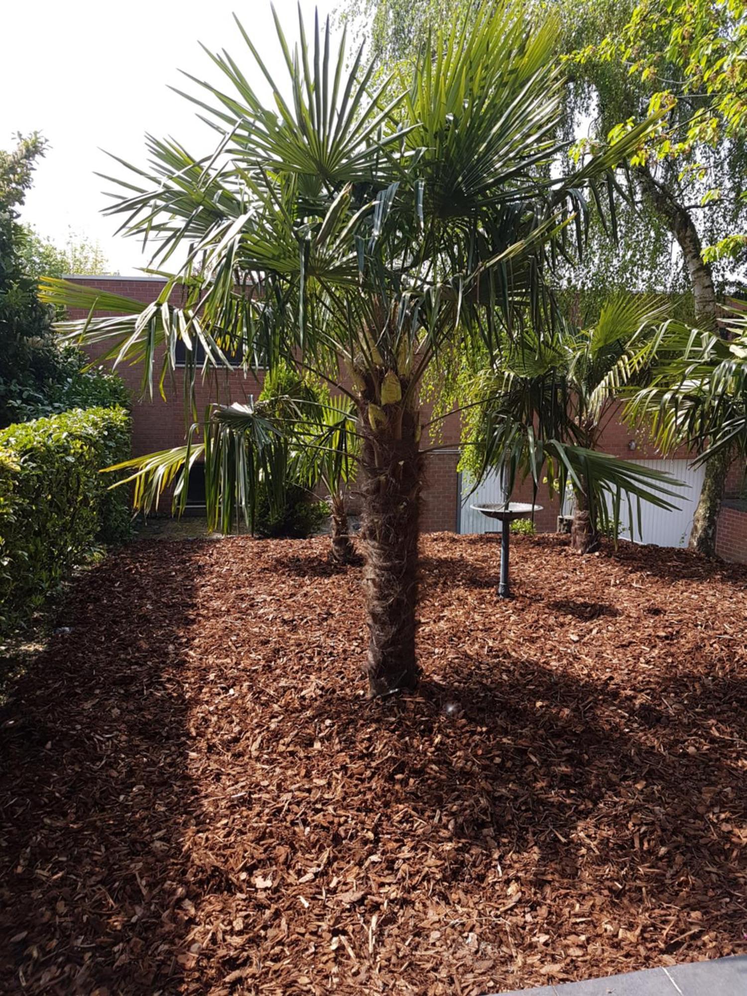 Homestay Gent-Merelbeke Self Check-In Service Melle Exterior foto